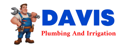 Trusted plumber in DAISETTA